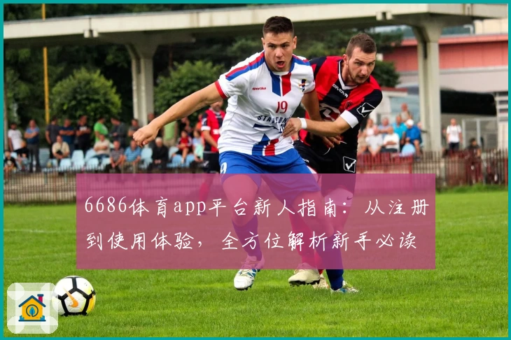 6686体育app平台新人指南：从注册到使用体验，全方位解析新手必读宝典