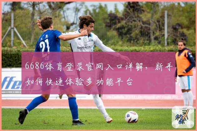 6686体育登录官网入口详解，新手如何快速体验多功能平台