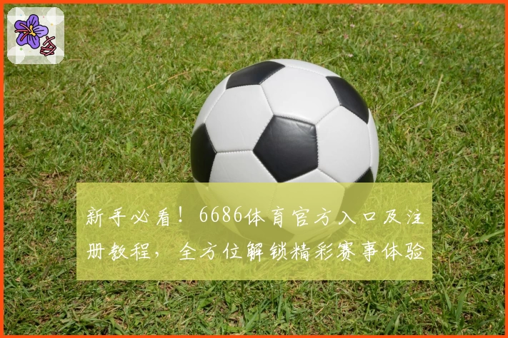 新手必看！6686体育官方入口及注册教程，全方位解锁精彩赛事体验